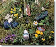 CAIRN ELEN Lebensschulen