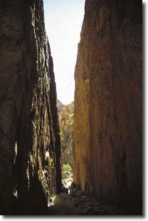 CAIRN ELEN Lebensschulen