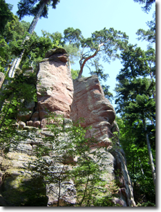 CAIRN ELEN Lebensschulen