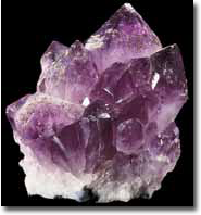 CAIRN ELEN Lebensschulen